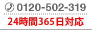 0120-502-319